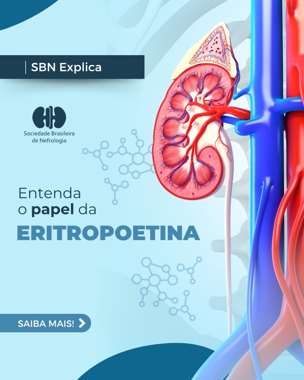 Entenda papel da Eritropoitina (EPO) no organismo