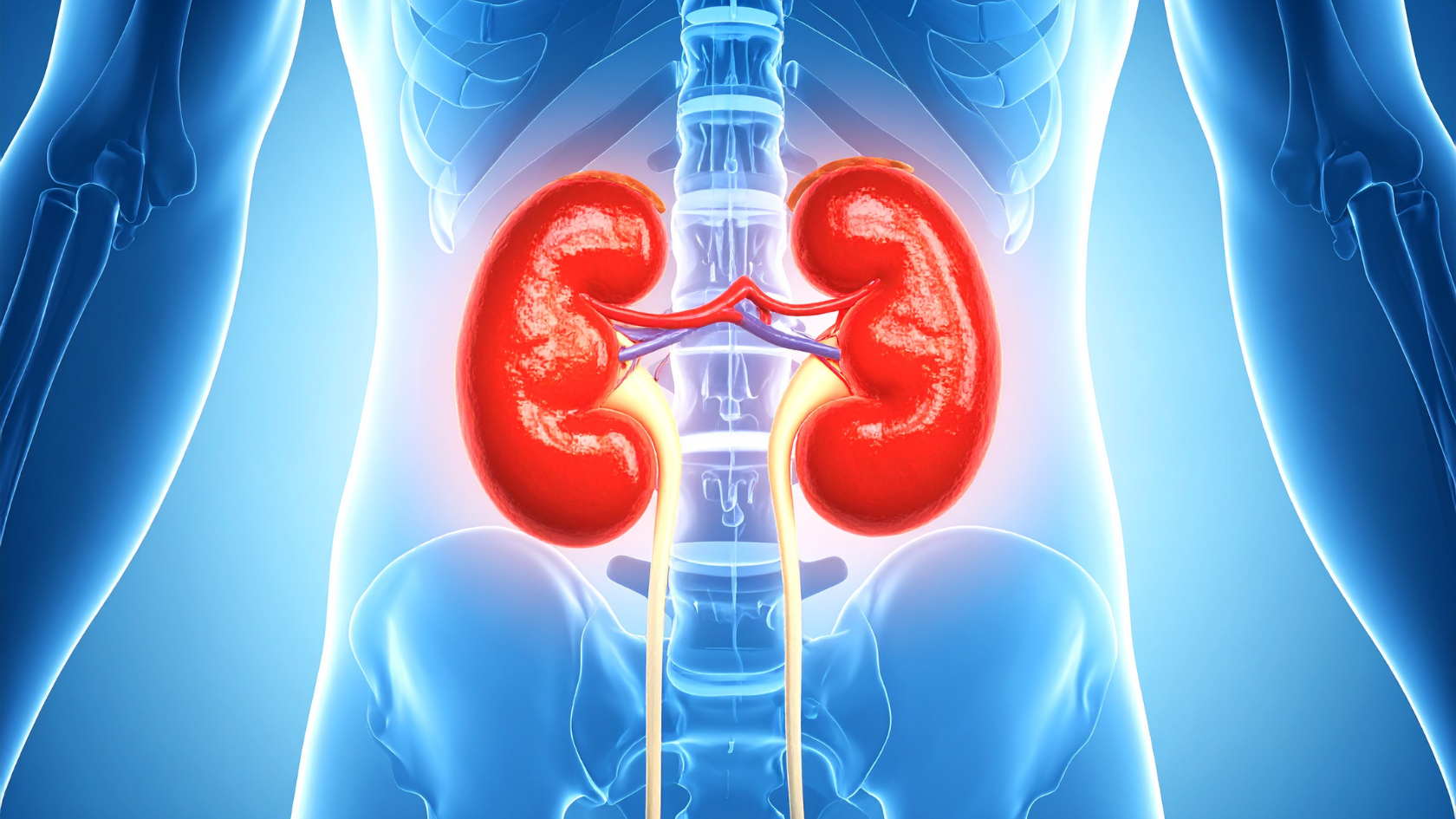 Insuficiência renal: tratamento, cuidados e como viver melhor